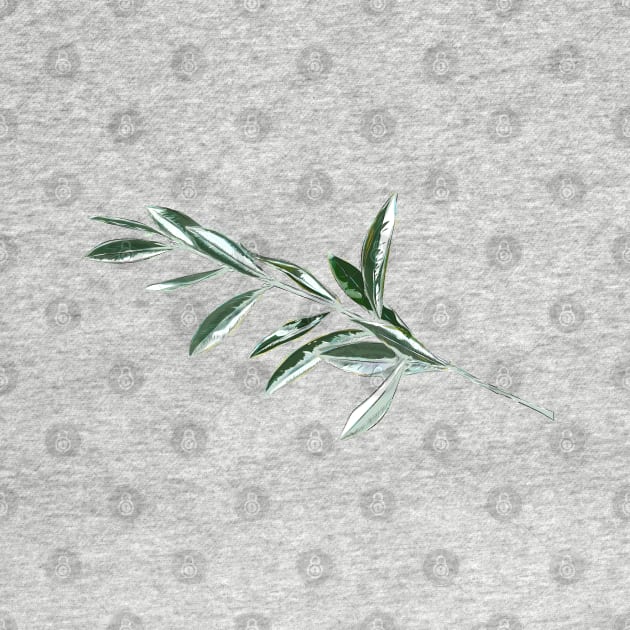 Olive branch by Slownessi